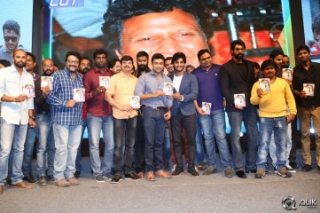 Rough Movie Audio Launch